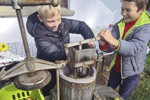 Kinder erkunden eine Streuobstwiese und pressen Saft