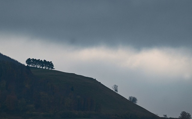 Nach ersten leichten Schneef&auml;llen...henende etwas auflockern. (Symbolbild)  | Foto: Bernd Wei&szlig;brod/dpa