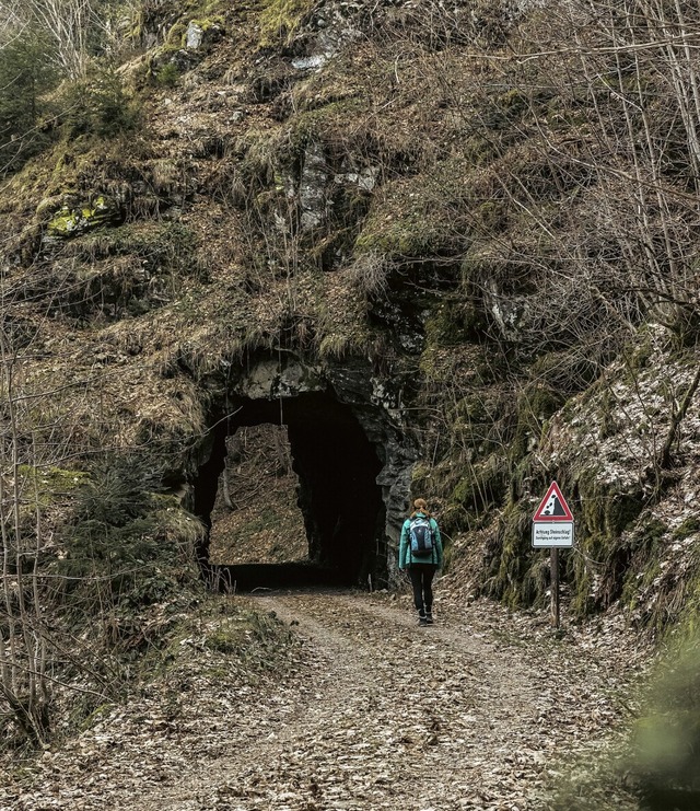 Auf dem Ehwaldweg oberhalb der Wehraschlucht   | Foto: Tanja Ecker