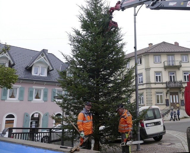 Georg Eichhorn (links) und Berthold Di...rfer  Weihnachtsbaum am Marienbrunnen.  | Foto: Stefan Limberger-Andris