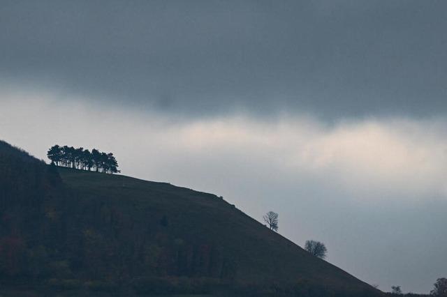 Wald in Baden-Wrttemberg leicht erholt - aber keine Entwarnung