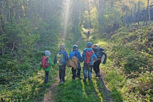 Ausbau des Waldkindergartens in Ballrechten-Dottingen geht weiter