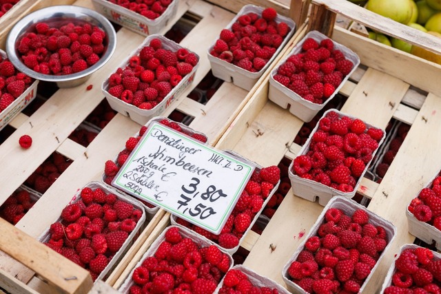 In S&uuml;dbaden werden noch Mitte Nov...Himbeeren unter freiem Himmel geerntet  | Foto: Philipp von Ditfurth/dpa