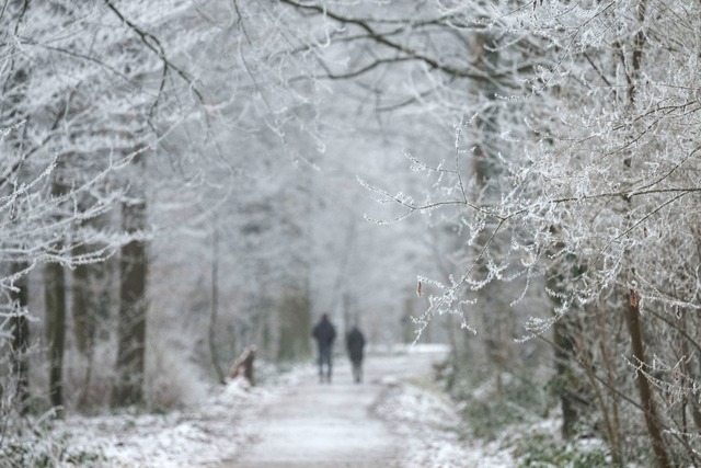 Auch in Stuttgart wird von der Nacht z...rstag an Schnee erwartet. (Archivbild)  | Foto: Marijan Murat/dpa