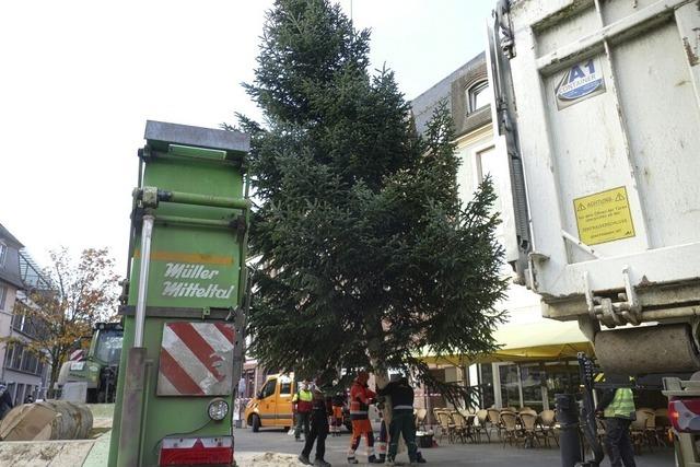 Weihnachtsbaum auf dem Alten Marktplatz