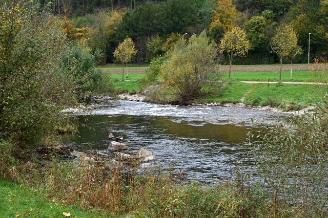 Hier nimmt der Fluss die rechte Abzweigung  | Foto: Thomas Kunz