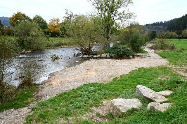 Seit zehn Jahren ist die Dreisam im Freiburger Osten kein Kanal mehr