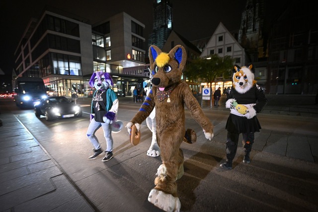 Beim sogenannten Suitwalk wollen die F...tag der Menschen bringen. (Archivbild)  | Foto: Felix K&auml;stle/dpa