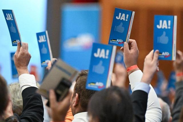 AfD verabschiedet sich in Baden-Wrttemberg von strikter Basisdemokratie