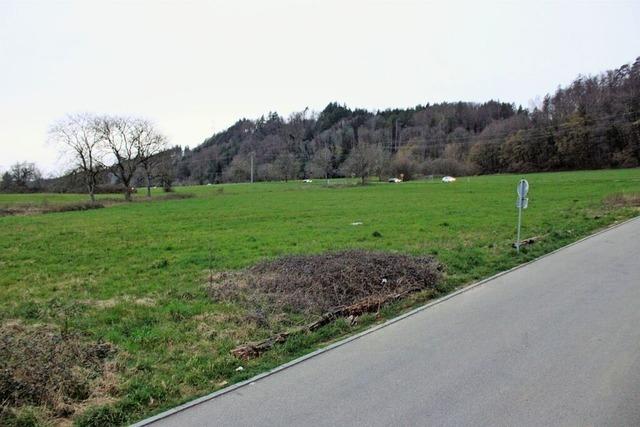 Zweiter Anlauf fr das Gewerbegebiet West II in Schwrstadt