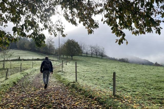 "Das geht was" loben die Elzacher Gemeinderte die Tourismusgesellschaft