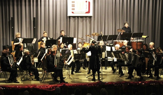 Das Akkordeonorchester Grenzach-Wyhlen am Samstag beim Konzert.  | Foto: Rolf Reimann