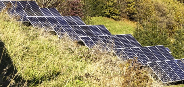 Am Waldrand bei Niederdossenbach soll ein Solarpark entstehen (Symbolbild).   | Foto: Alexandra Gnzschel