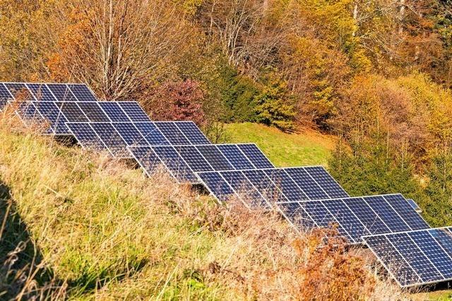 Die Planung fr den Solarpark Hollwangen in Schwrstadt schreitet voran