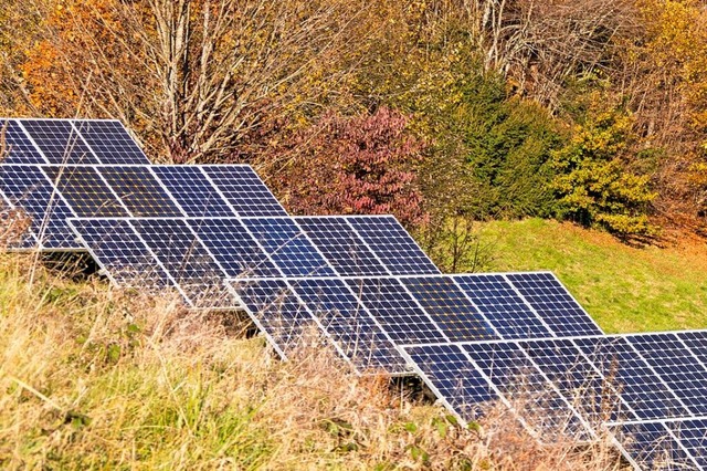 Am Waldrand bei Niederdossenbach soll ein Solarpark entstehen (Symbolbild).  | Foto: Alexandra Gnzschel