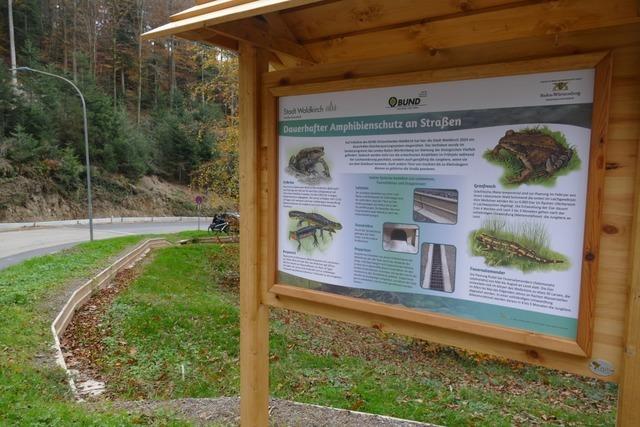 Sicher zum Laichgewsser – Waldkircher Amphibienschutzanlage