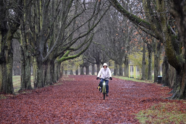 Regen hier, Graupel dort - und auch Sc...;nnte es in den kommenden Tagen geben.  | Foto: Roberto Pfeil/dpa