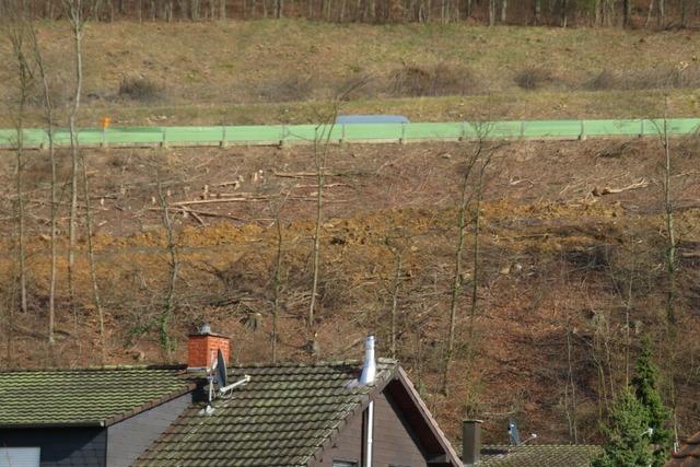 Lrracher Fraktionen  und   die  Verwaltung diskutieren  weiter ber den  Stadtwald