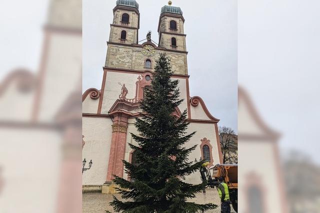 Vorfreude auf dem Mnsterplatz