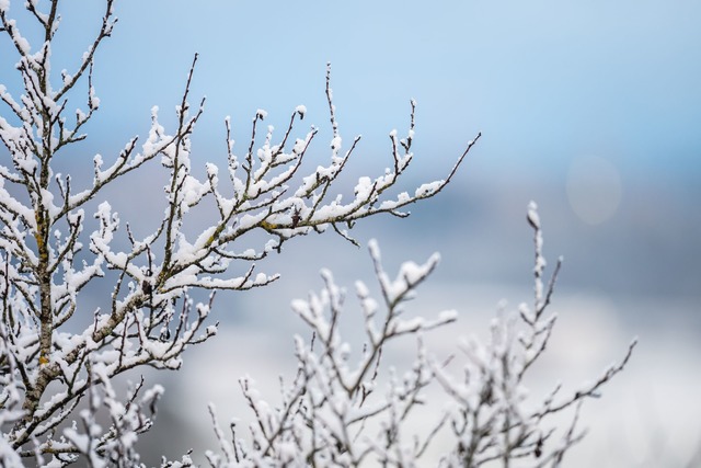 Nach den Schneef&auml;llen in den komm...henende: Es wird deutlich w&auml;rmer.  | Foto: Silas Stein/dpa