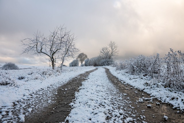 Nach den Schneef&auml;llen in den komm...henende: Es wird deutlich w&auml;rmer.  | Foto: Silas Stein/dpa