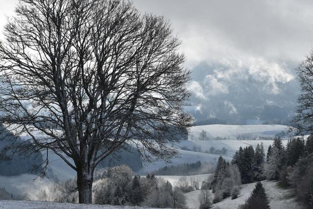 Fotos: Der Winter ist in Baden-Wrttemberg angekommen