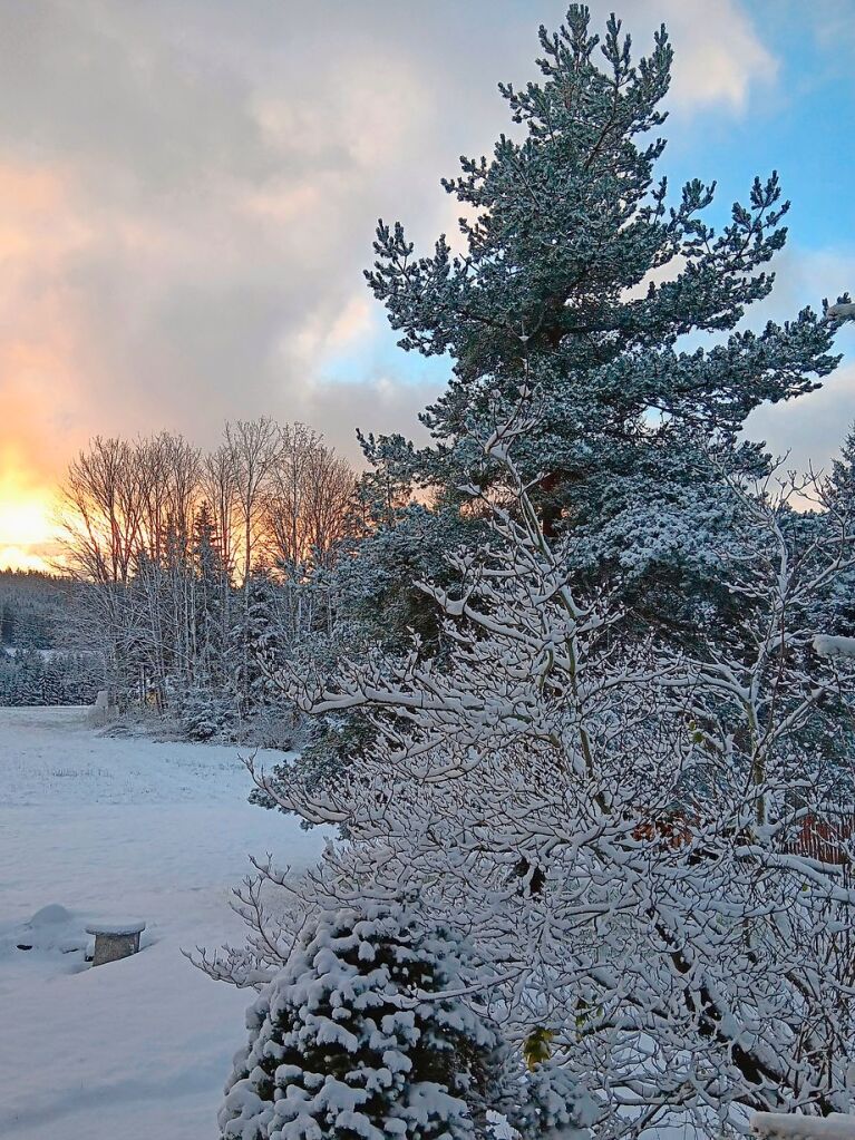 Morgenstimmung nach dem ersten Schneefall in Breitnau