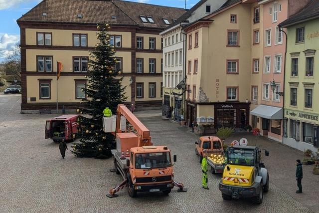 In Bad Sckingen laufen die Weihnachtsvorbereitungen – bald erstrahlt die Stadt