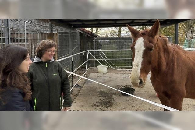 Tierschutzzentrum ist am Limit