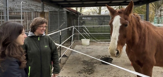 Die Bundestagsabgeordnete Zoe Mayer vo...das Tierschutzzentrum in Scherzingen.   | Foto: Noah Dillinger