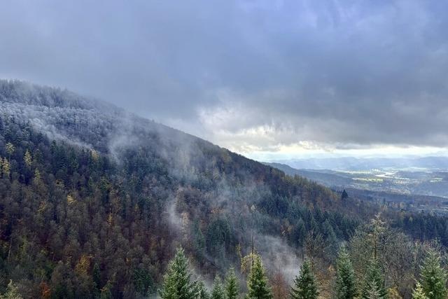 Blick von der Burg Brenfels