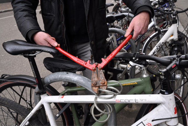 Freiburger Fahrraddiebe-Prozess: Sind die Angeklagten schuldfhig - und die wahren Drahtzieher?