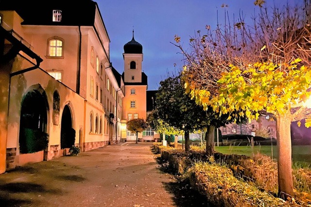 Einen Weihnachtsmarkt der Kunsthandwer...ent im Malteserschloss in Heitersheim.  | Foto: Sabine Model