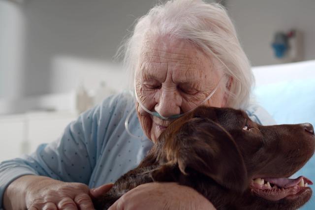 Krankenhausseelsorger ist mit Hund unterwegs