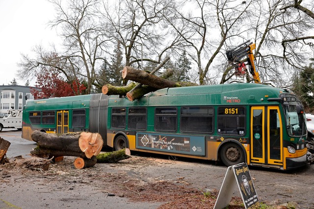 Das Unwetter soll noch bis zum Wochenende anhalten.  | Foto: Karen Ducey/The Seattle Times via AP/dpa