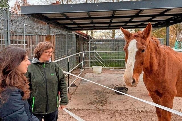 Tierschutzzentrum in Scherzingen ist am Limit - es fehlt Geld