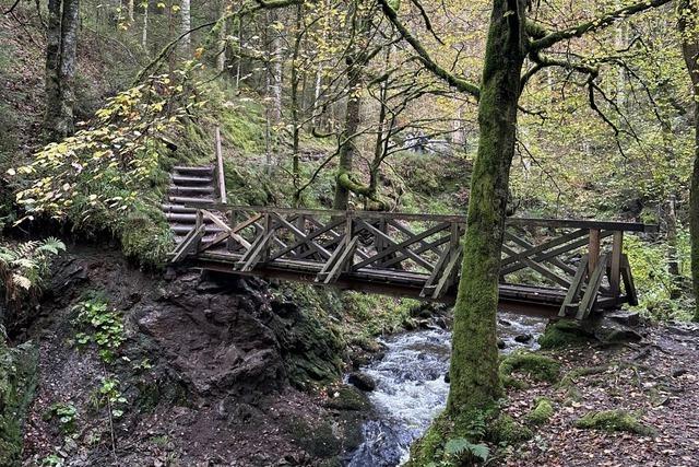 Breitnau diskutiert ber Brcke in der Ravennaschlucht: sanieren oder neu bauen?