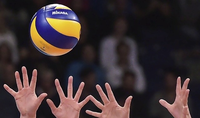 Die Volleyballer des TuS Bleichheim suchen noch Verstrkung.  | Foto: Silas Stein (dpa)