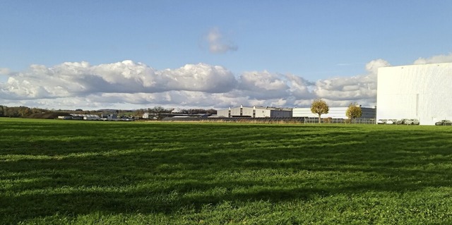 Zwischen Rhein und Gewerbegebiet soll ...kinger Westen ein Solarpark entstehen   | Foto: Ralph Fautz