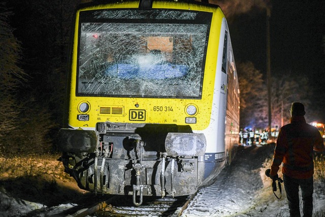 Der Zug konnte seine Fahrt nach dem Unfall fortsetzen.  | Foto: Jason Tschepljakow/dpa