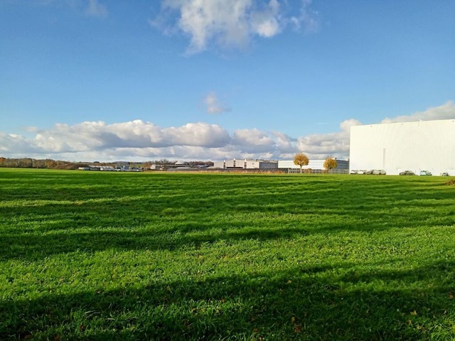 ischen Rhein und Gewerbegebiet soll im...ckinger Westen ein Solarpark entstehen  | Foto: Ralph Fautz