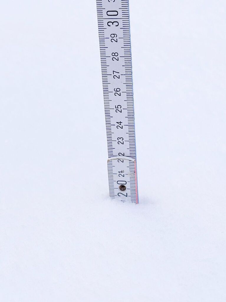 Rund 20 Zentimeter Neuschnee fielen in Mllheim im Laufe der Nacht auf Freitag.