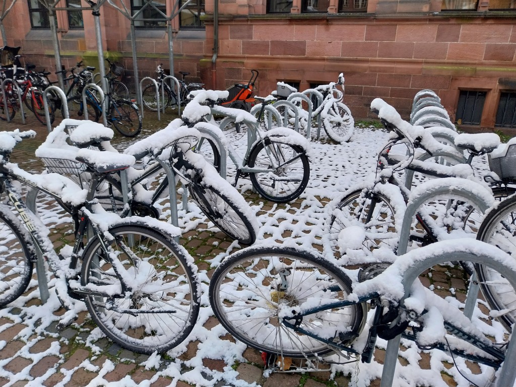 Wintereinbruch in Freiburg