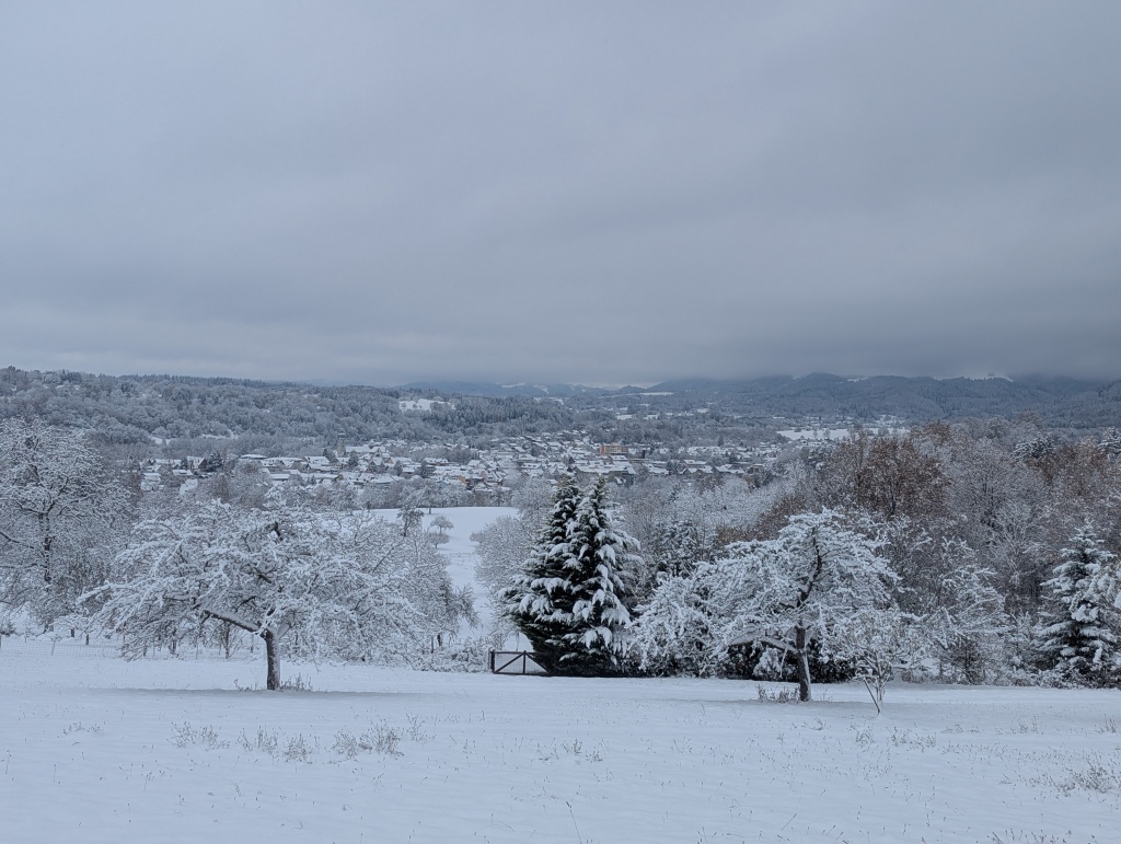 Der erste Schnee im Winter 2024 in Wehr mit Blickrichtung Bergalingen