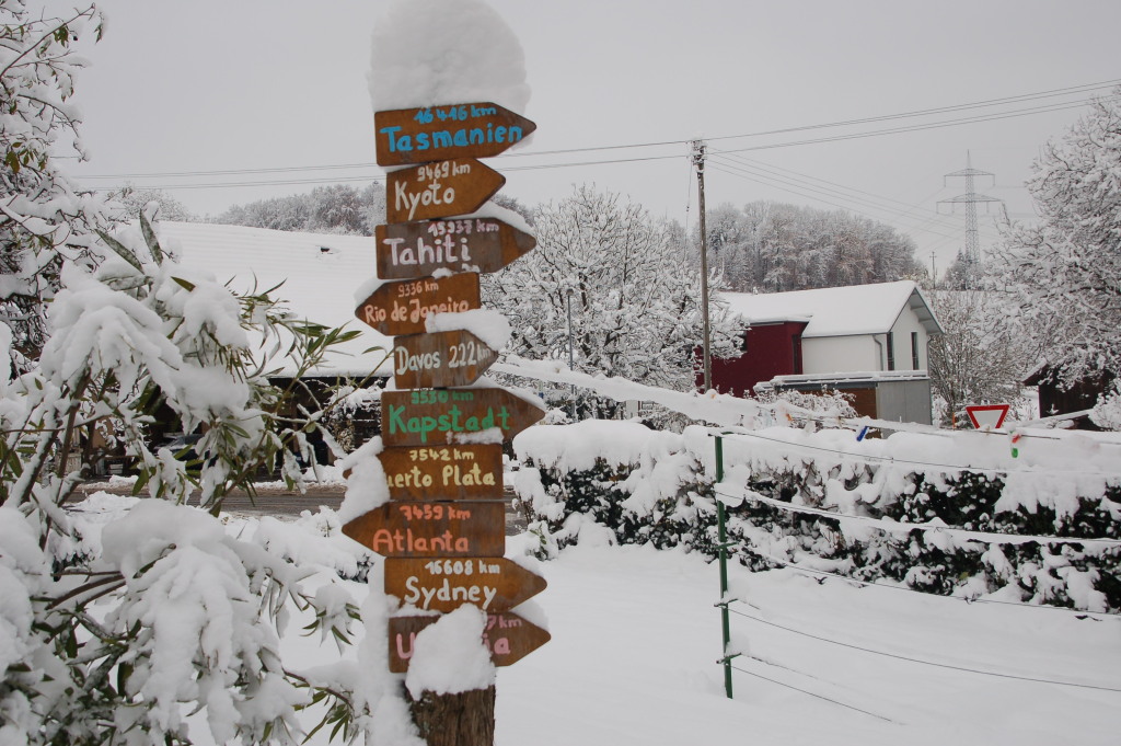 Winterbild vom Dinkelberg