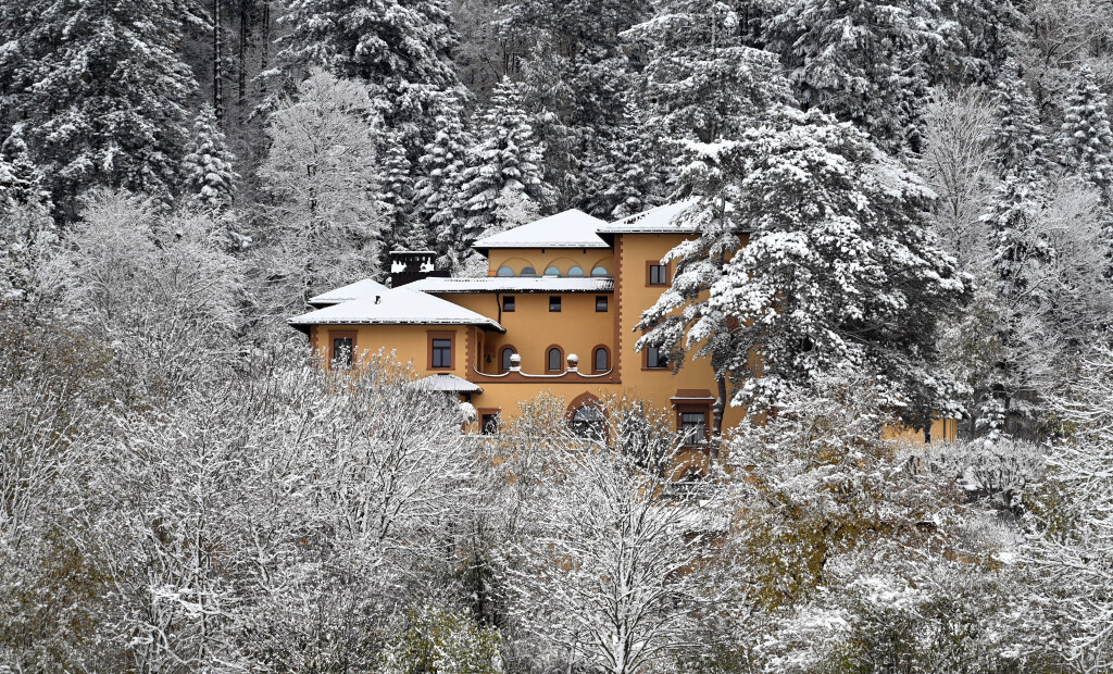 Winter in Freiburg