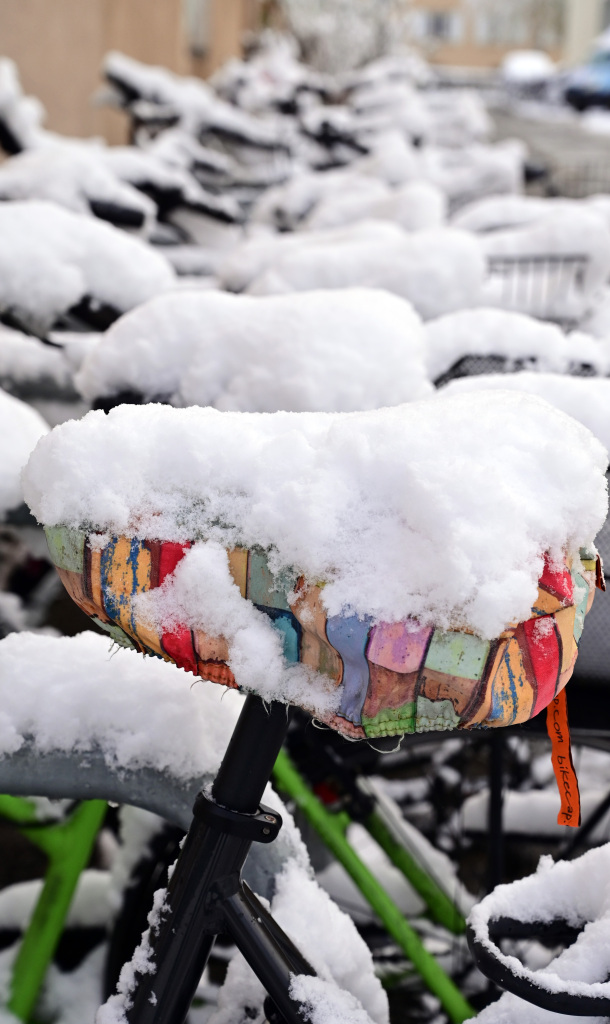 Winter in Freiburg