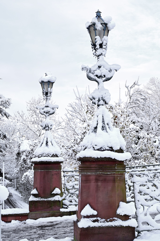 Winter in Freiburg