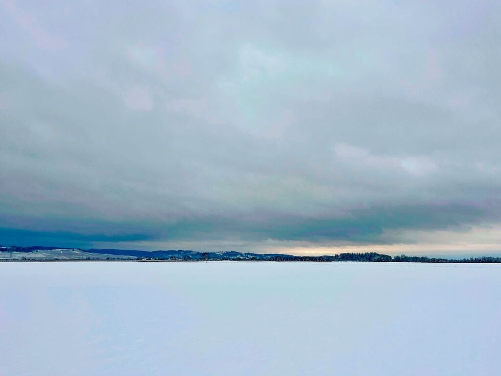 Fast surreal mutet die Winterstimmung auf den Feldern zwischen Neuenburg und Auggen an.