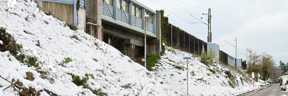 Die Bahn hat in Freiburg-St. Georgen erneut unerlaubt geschtzte Bume fllen lassen